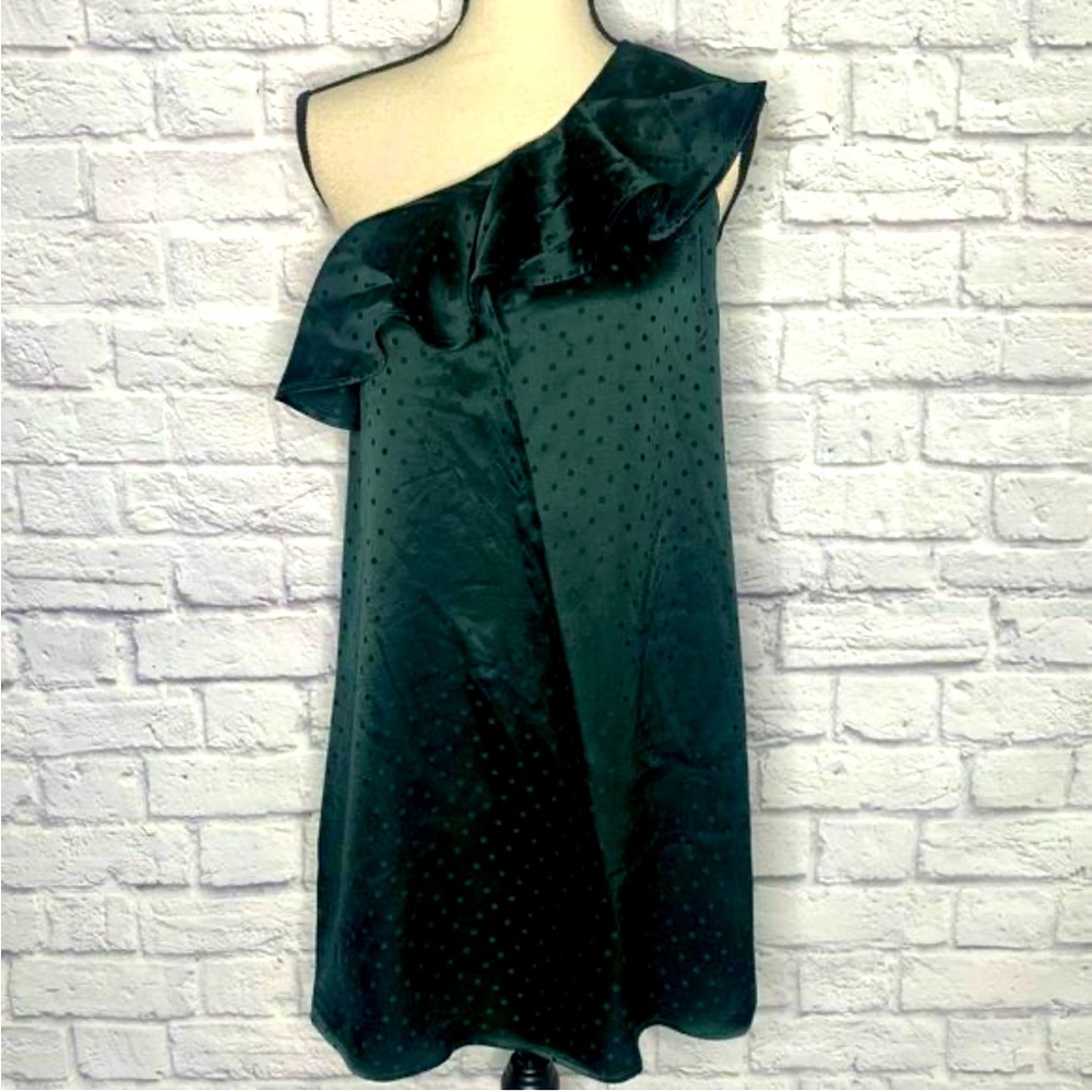 Madewell NWT size 4 Silk polka dot green one shoulder dress